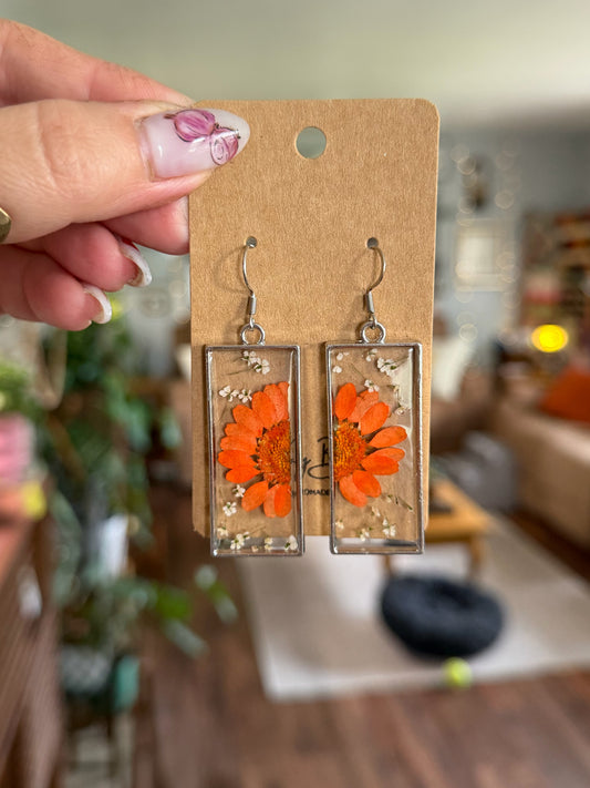 Orange Daisies