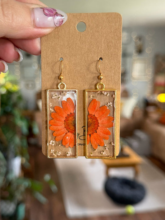 Orange Daisies