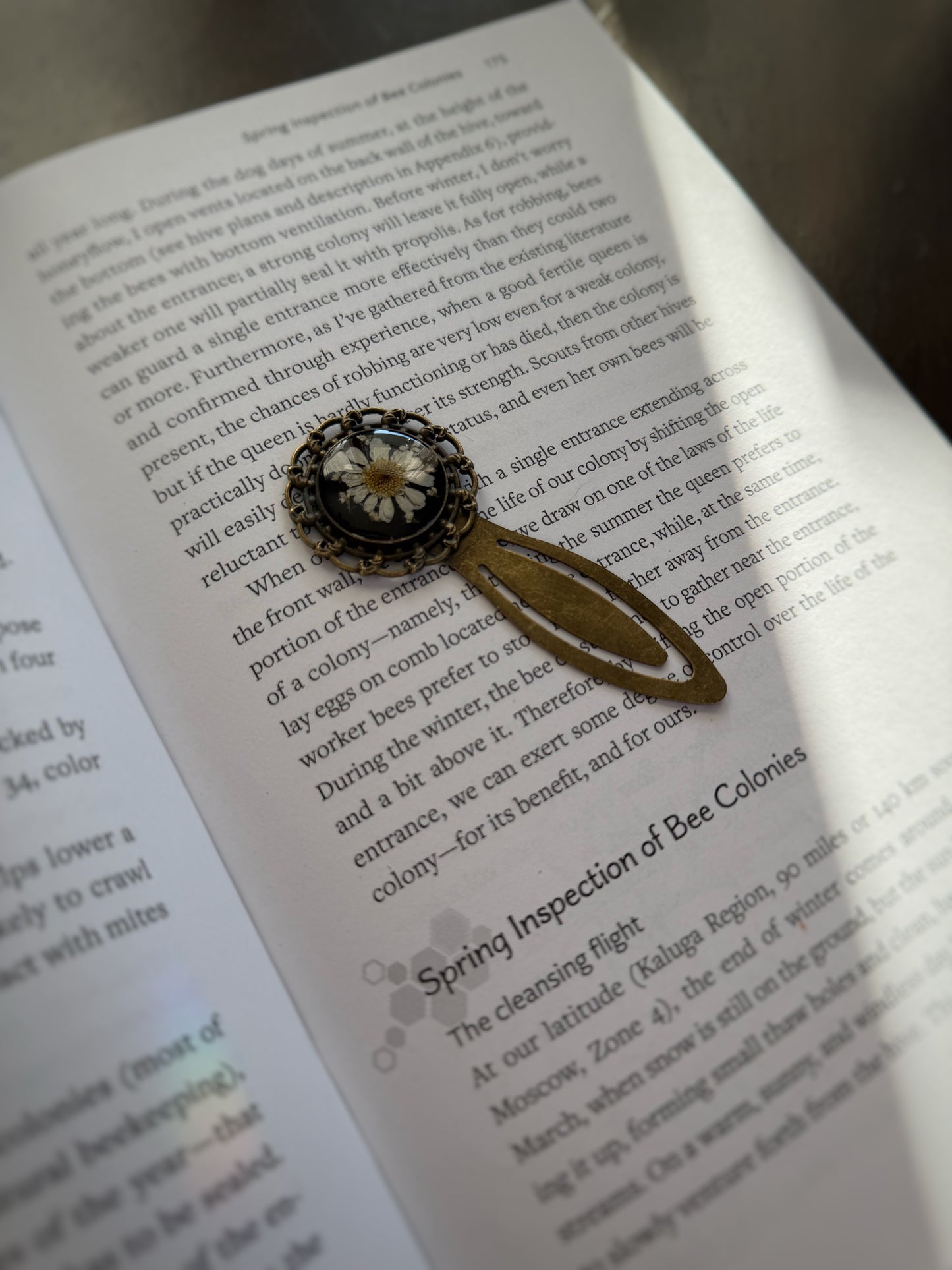 Round Feverfew Bookmark