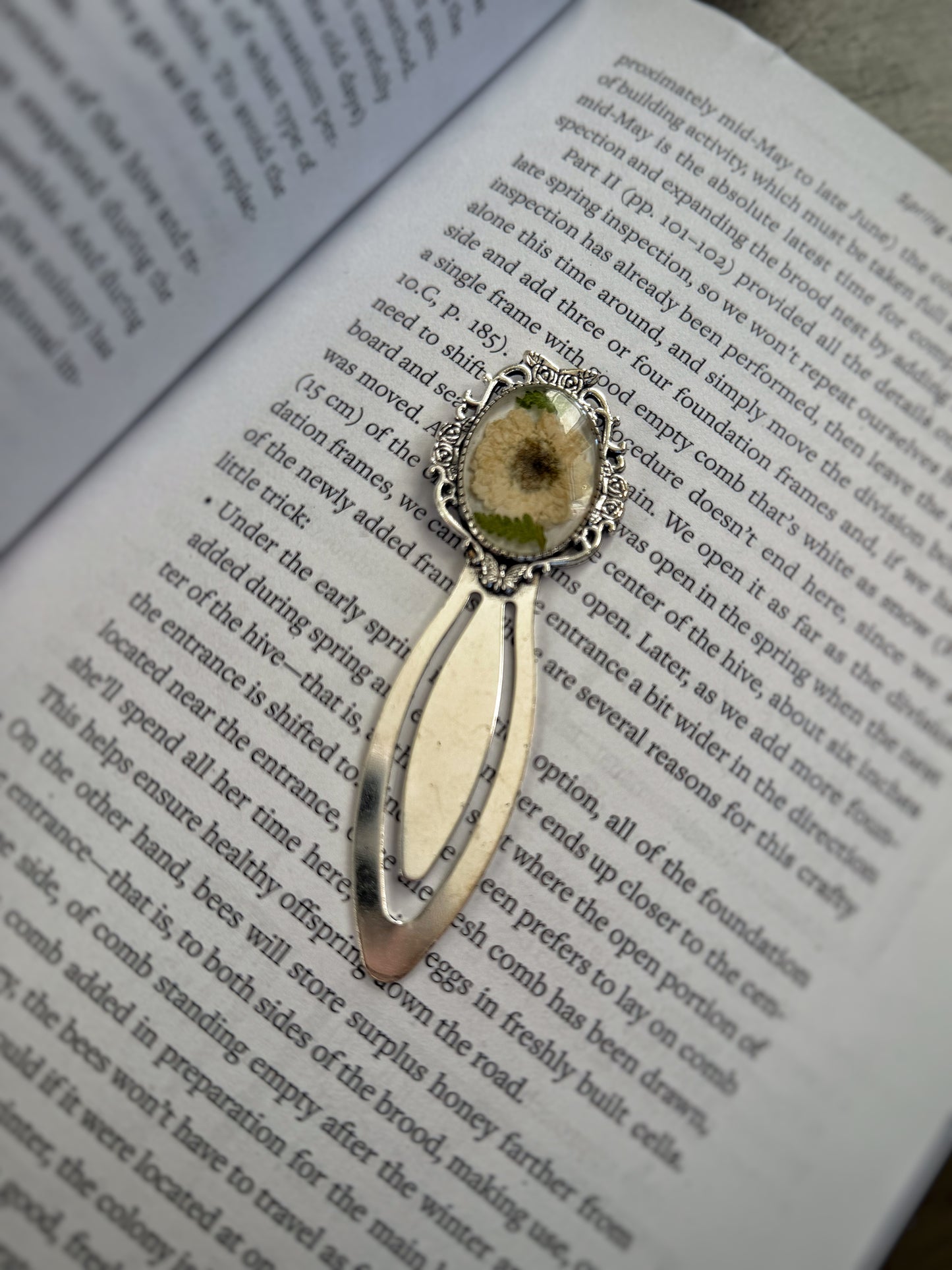 Butterfly Feverfew Bookmark