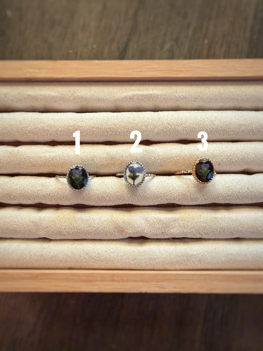 Aster Adjustable Ring