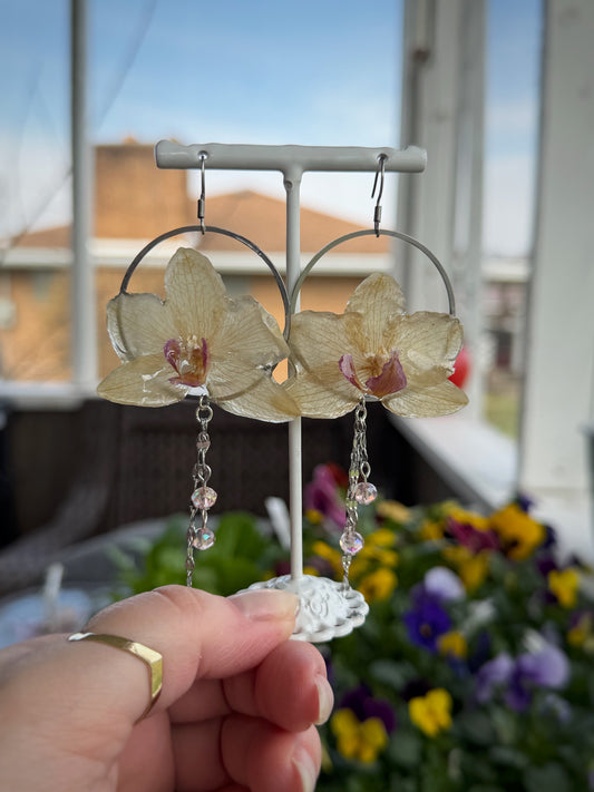 Yellow Phalaenopsis Orchid Earrings