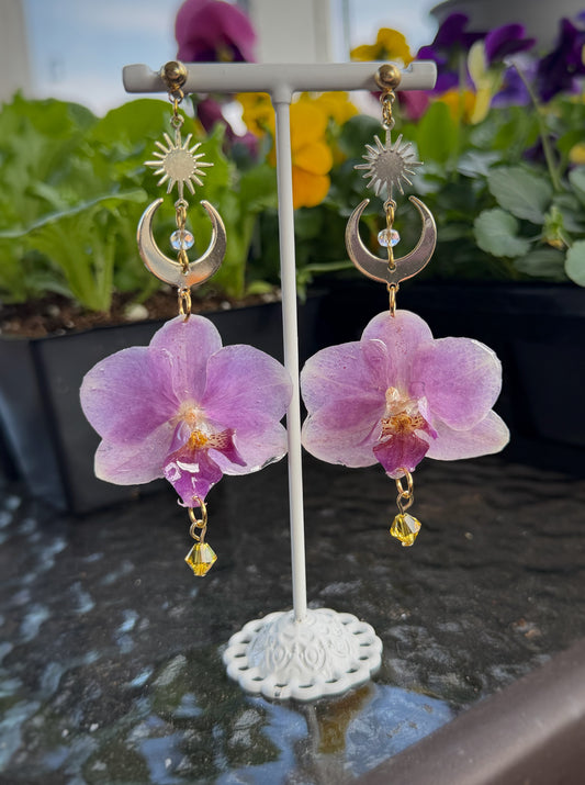 Celestial Phalaenopsis Orchid Dangles